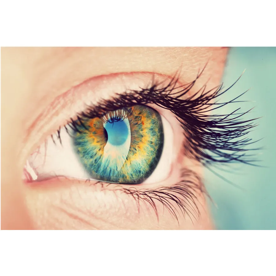 強力な美容メイクアップ 4 ミリリットルまつげまつげ成長リフ - Lash Serum Growth のレビューと価格